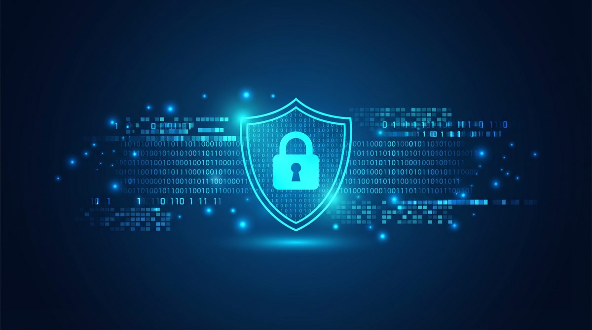 蜂刺加速器隐私安全保护